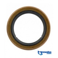 Reten pedal arranque gas gas pro