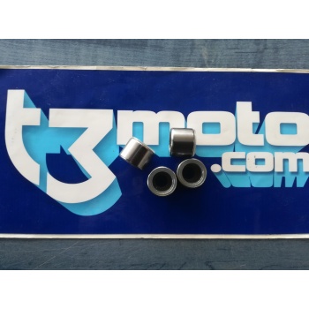 Cojinete agujas bieletas gas gas pro