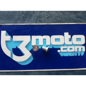 Tornillo llenado aceite gas gas pro