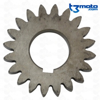 Piñon primaria sherco trial