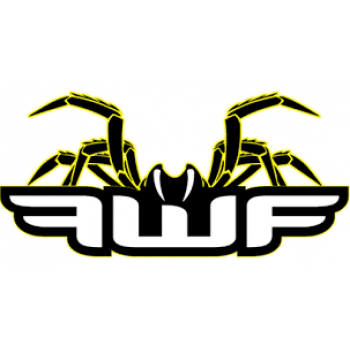 Filtro aire Proline Honda CRF 250 R