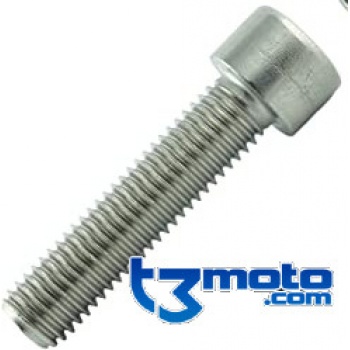Tornillo M6x30 DIN912 12.9 NT 