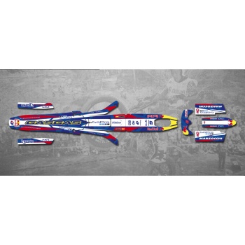 Kit adhesivos gas gas pro 02-08 red bull